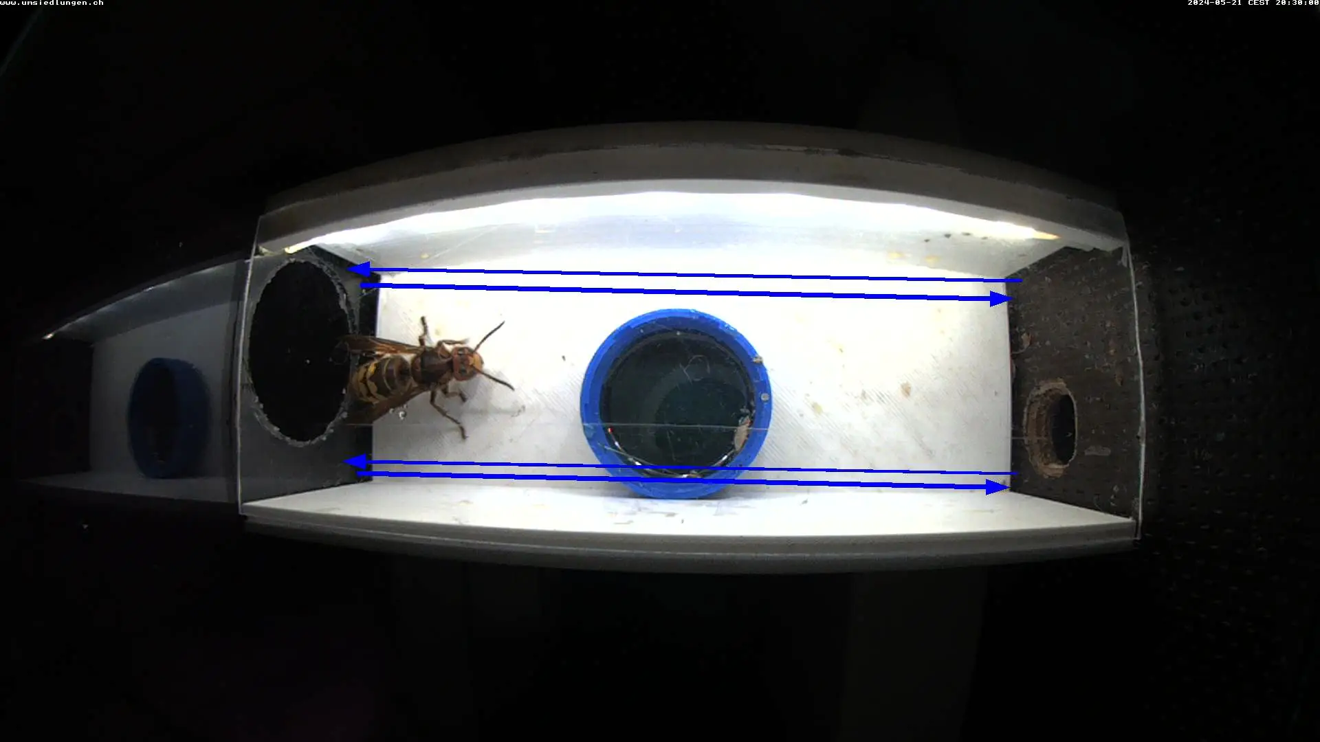 gallery grid image