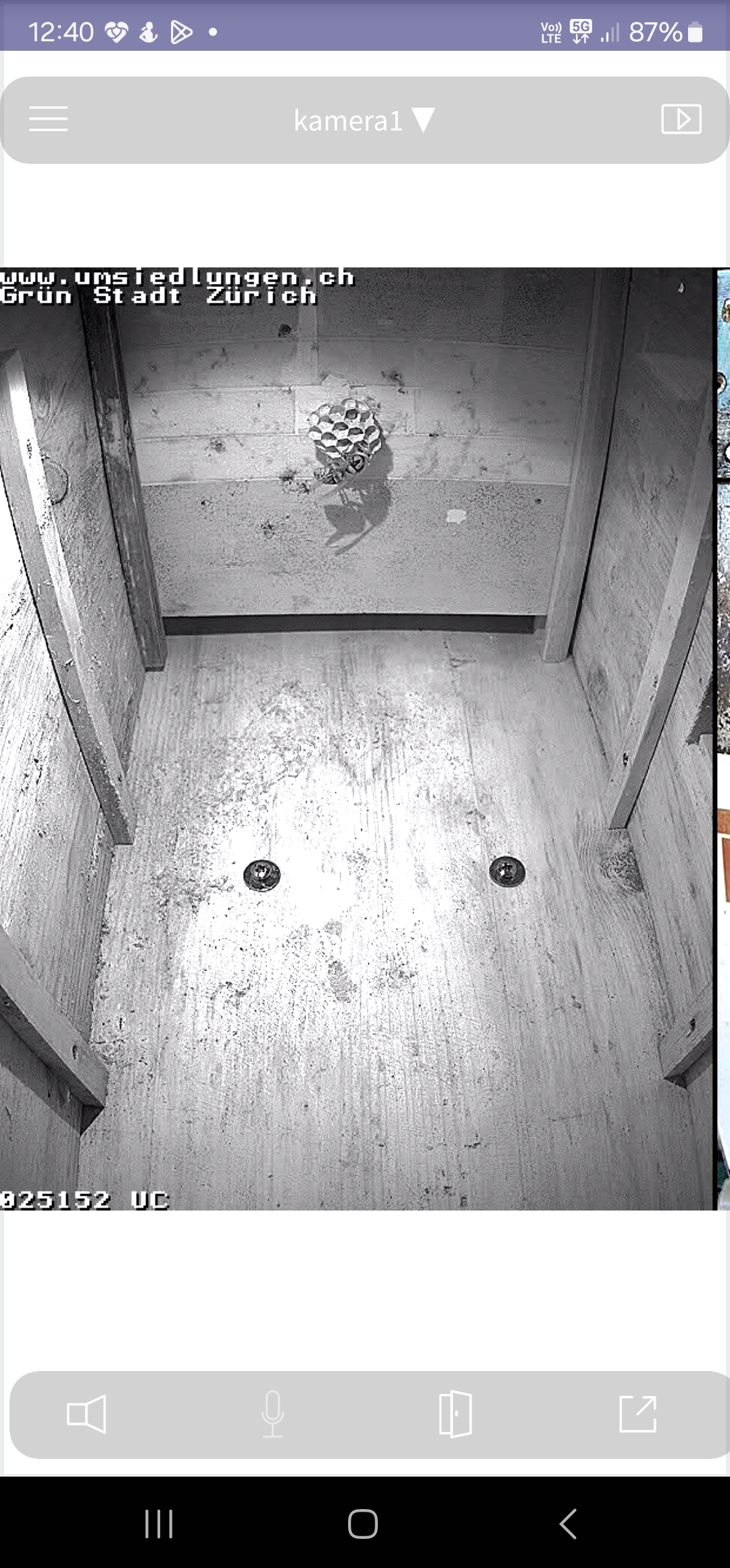 gallery grid image
